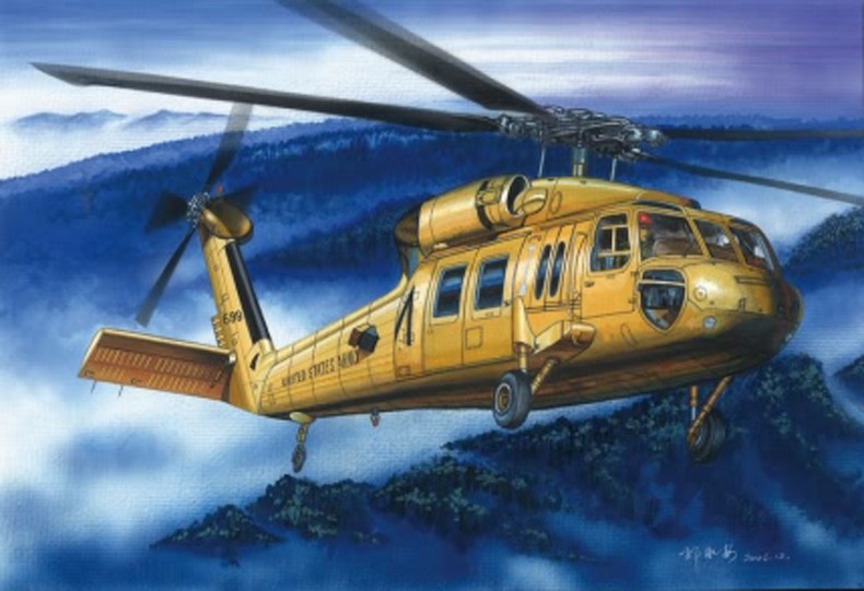 Hobby Boss 87216 UH-60A Blackhawk  1:72